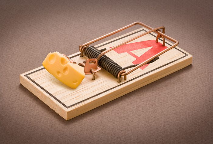 Mouse trap set with cheese on it.