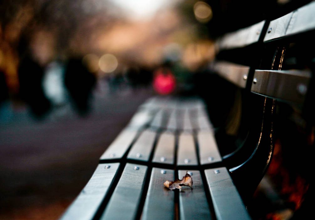 empty Park bench