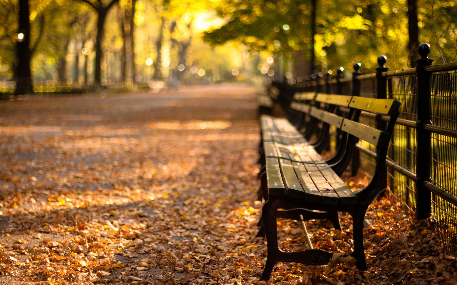 empty bench in park