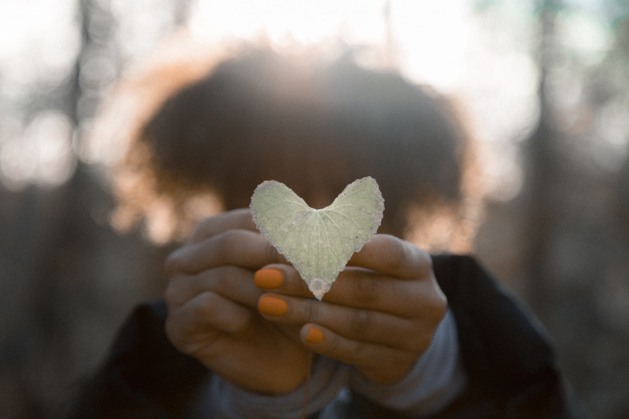 Person holding a heart-shaped leaf