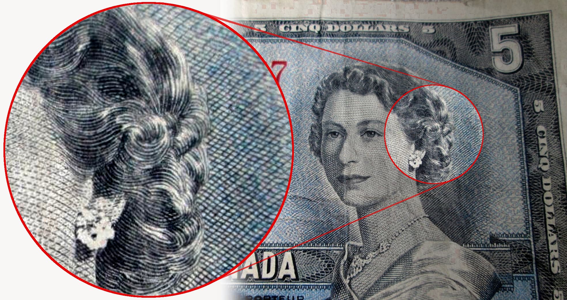 canada 1954 fiver devils face