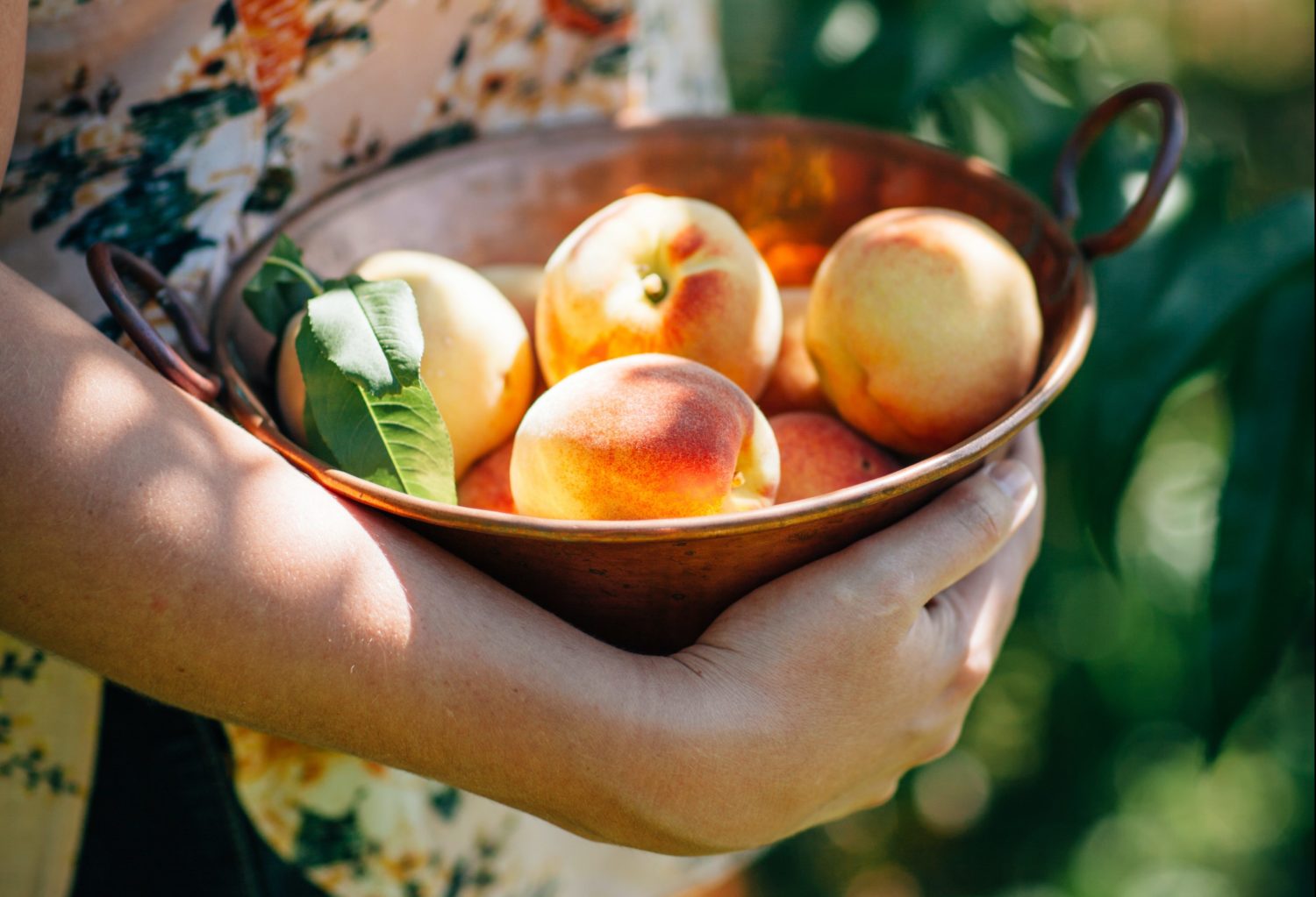 Podcast 329 Explore the Five Senses of Summer, a Hack for Boosting