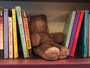 Teddy bear on shelf between books