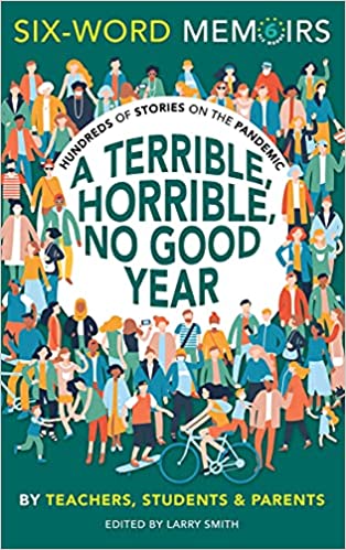 Book cover of A Terrible Horrible No Good Year by Larry Smith