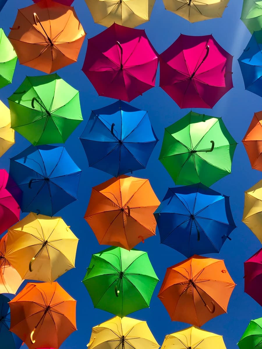 assorted colored umbrellas