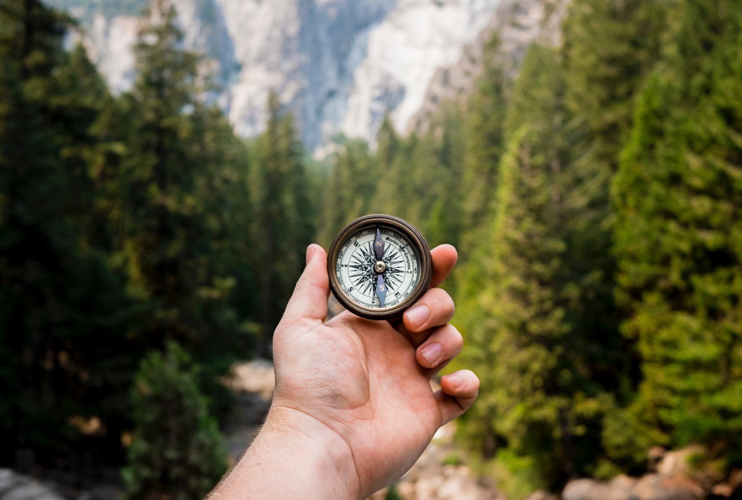 Photo of a hand holding a compass in a forest