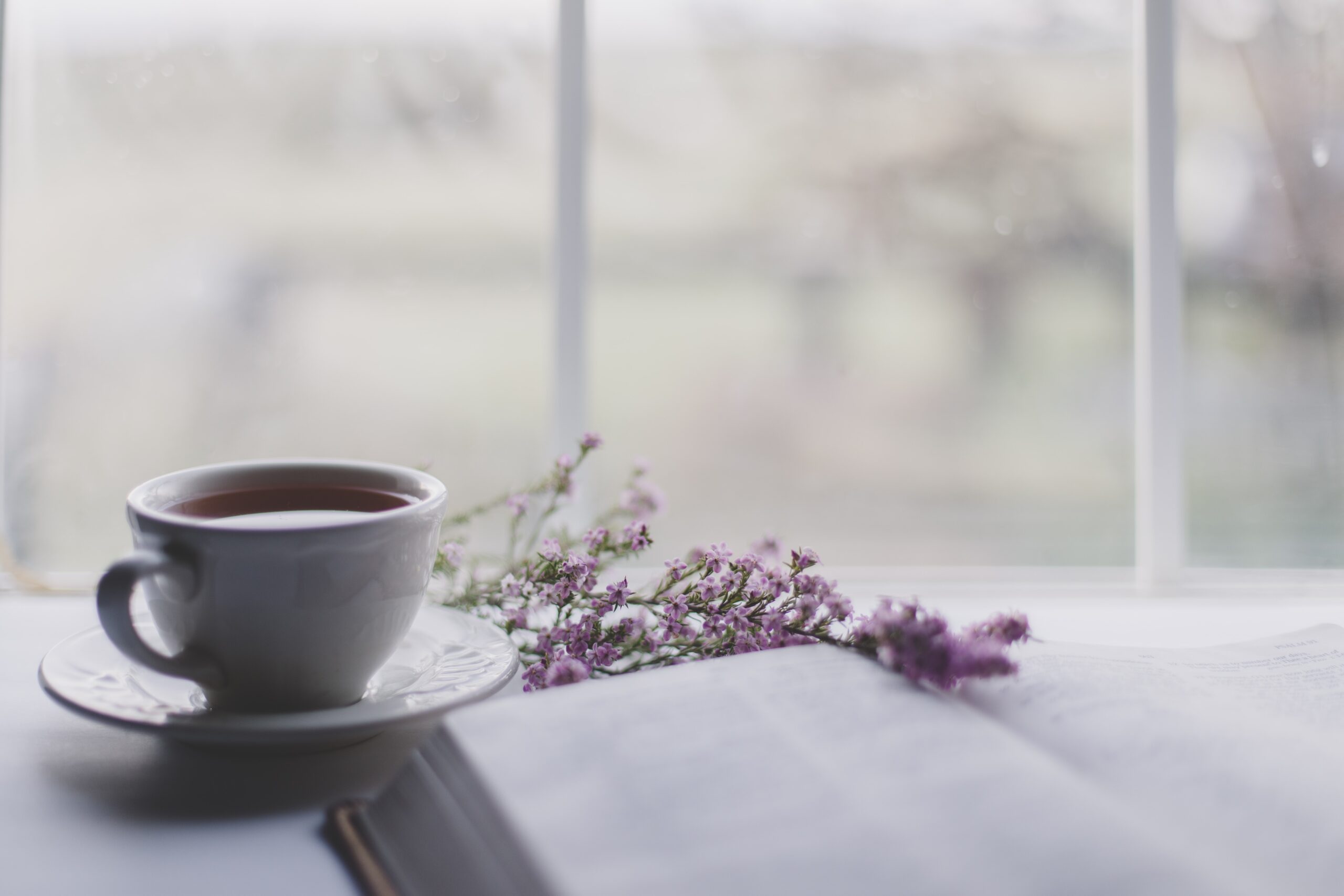 Photo of an open book near a window with a cup of tea
