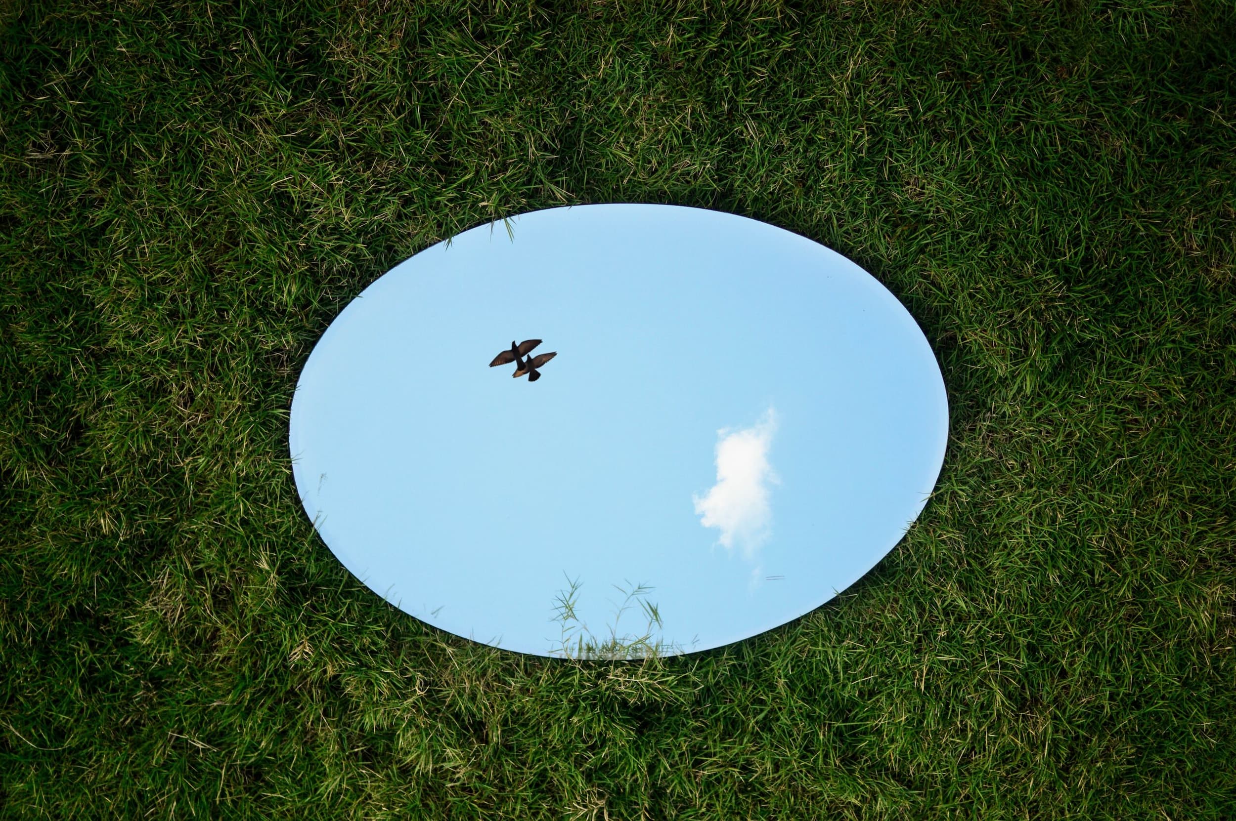 Photo of a mirror in a grassy field reflecting the sky
