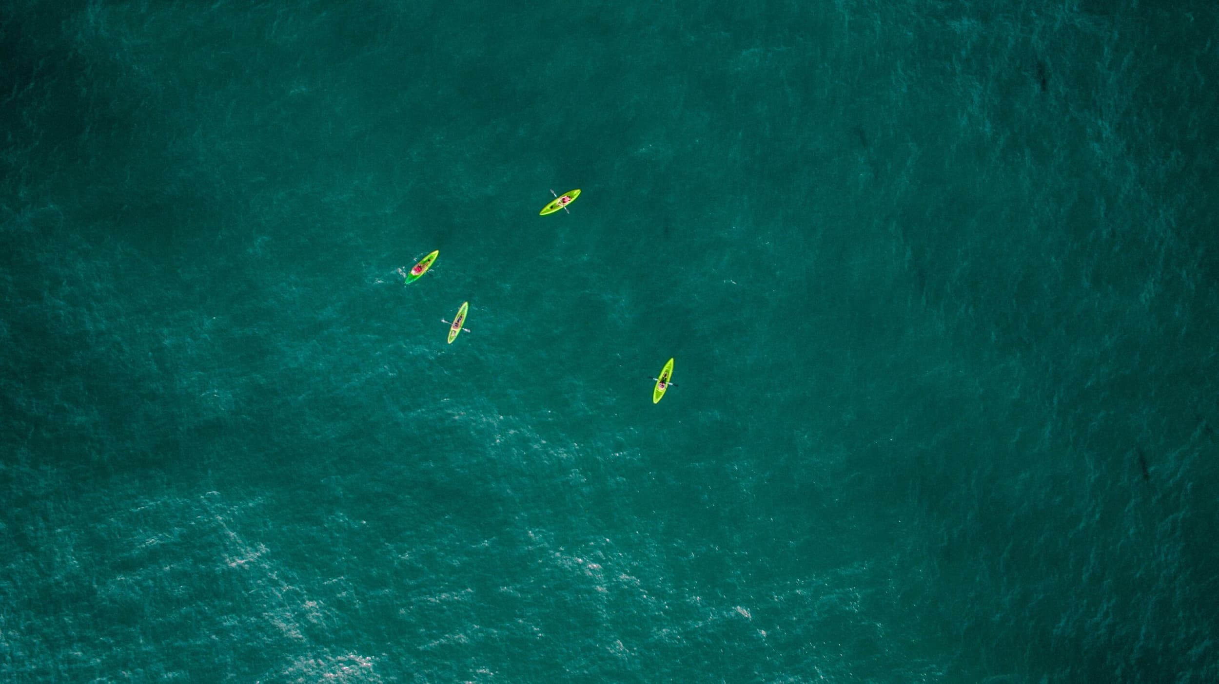 Photo of four kayakers in the ocean