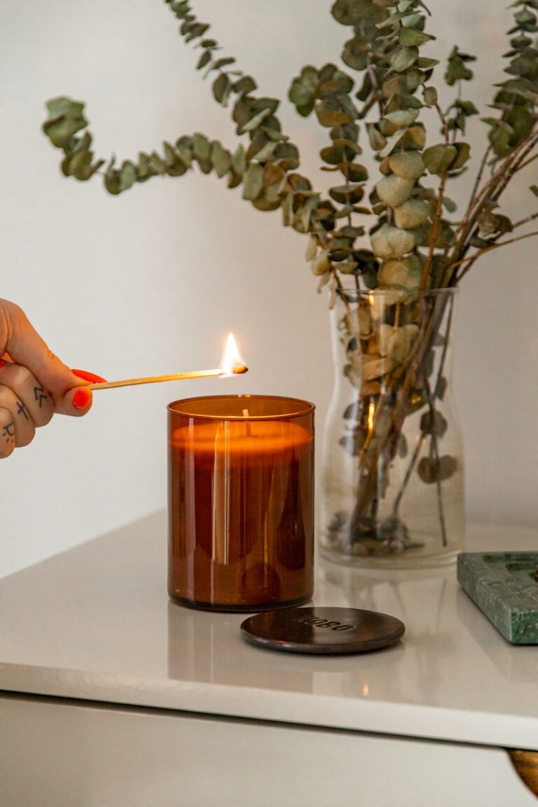person holding lighted candle near green plant
