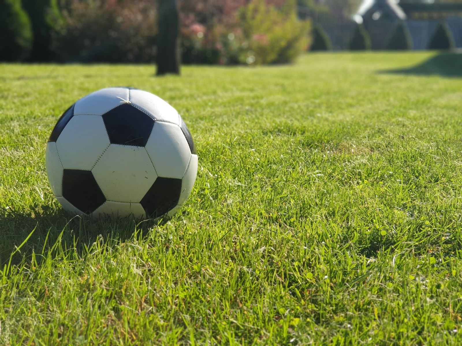 a soccer ball sitting on top of a lush green field