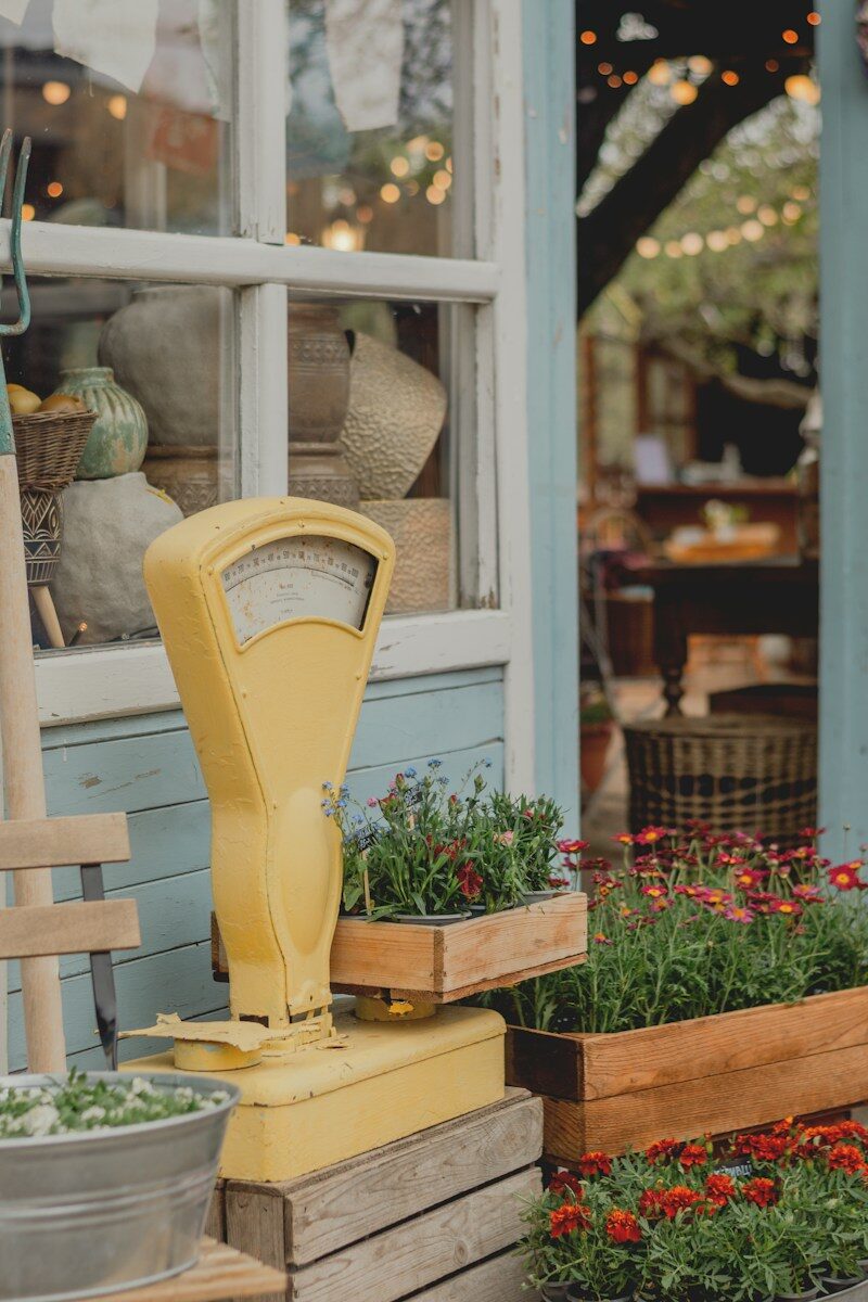 Yellow vintage scale with potted flowers outside shop display