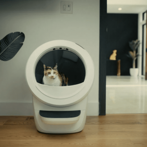 A calico cat in a white Litter-Robot